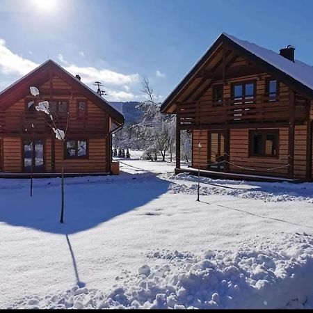 OSADA PODRÓŻNIKA - Całoroczne Domki Drewniane Hoczew Exterior foto