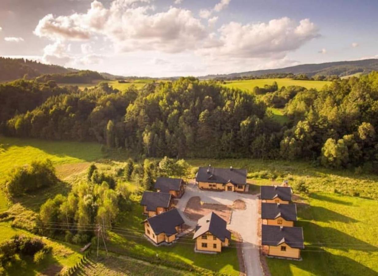 OSADA PODRÓŻNIKA - Całoroczne Domki Drewniane Hoczew Exterior foto